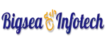 Bigseainfotech logo